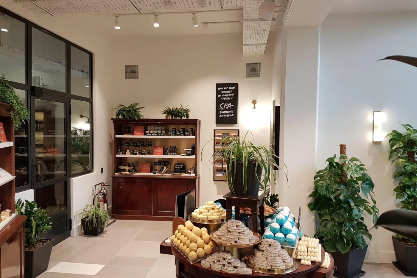 PHOTO 2019 03 14 14 11 30