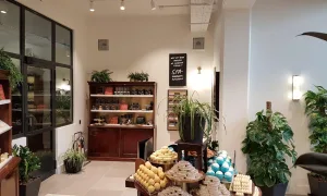 PHOTO 2019 03 14 14 11 30